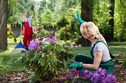 Cookie policy illustration for Landscapers Barkingside website