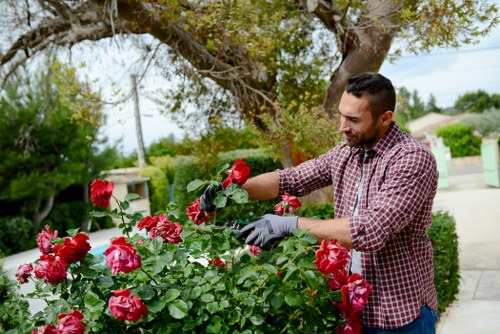 Trusted payment and security options for Landscapers Barkingside clients