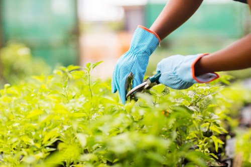 Customer complaint process for landscaping services