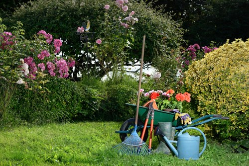 Regular mowing and maintenance of a suburban lawn