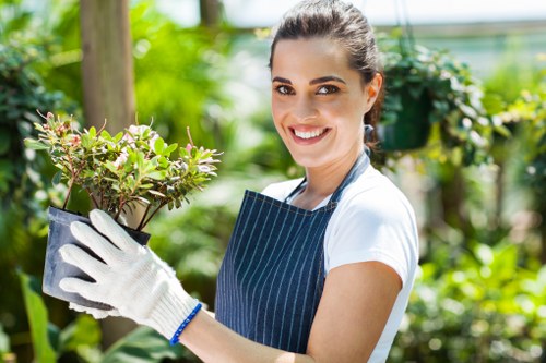 Ongoing accessibility review for Landscapers Barkingside website