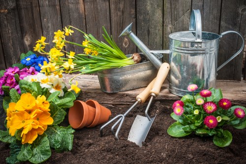 Modern Barkingside garden makeover with structured landscaping