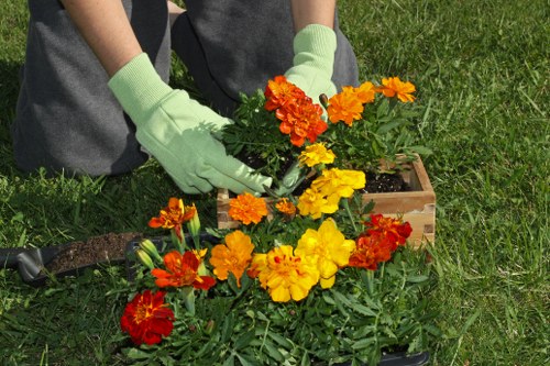Professional complaint resolution for landscapers