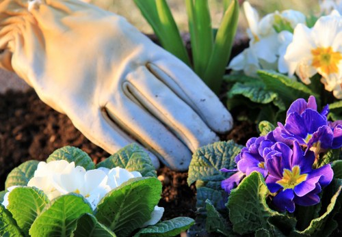 Soft landscaping features for a Barkingside garden with planting and turf