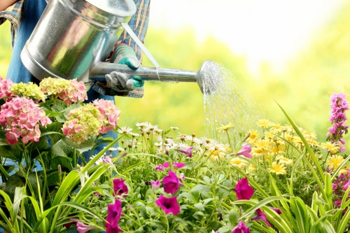 Professional hedge maintenance in Barkingside residential garden