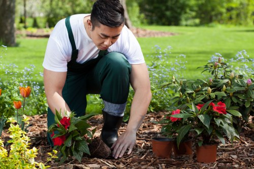 Professional landscapers in Barkingside improving a residential outdoor space