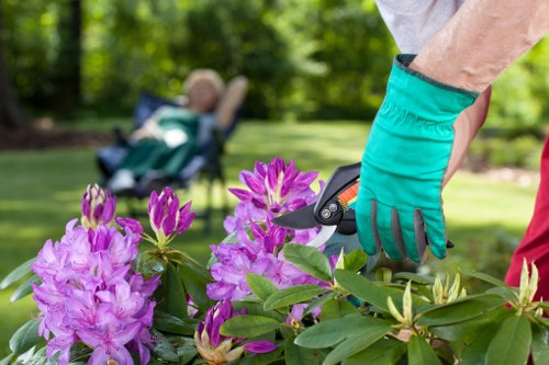 Reviewing a landscaping complaint and finding a solution
