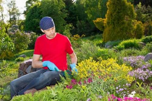 Commercial and residential landscaping solutions in Barkingside