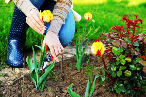Browser cookie controls for a landscaping website