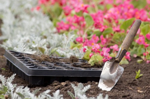 Seasonal garden maintenance in Barkingside with healthy borders