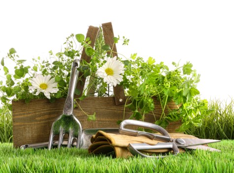 Professional patio restoration work in Barkingside garden