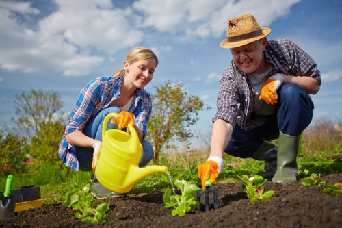 Aeration and soil improvement for Barkingside lawns