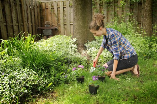 Professional lawn mowing service in Barkingside