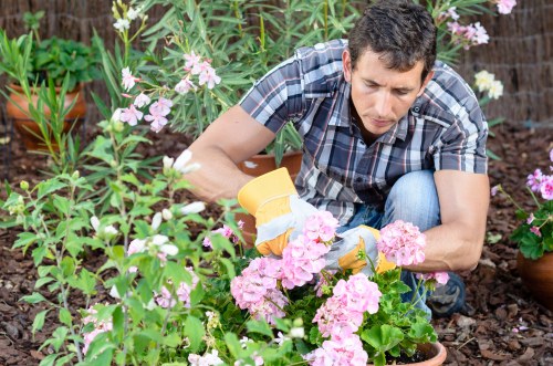 Sustainable wildlife-friendly planting in a Barkingside garden