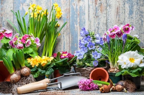 Screen-reader friendly website layout for landscaping information